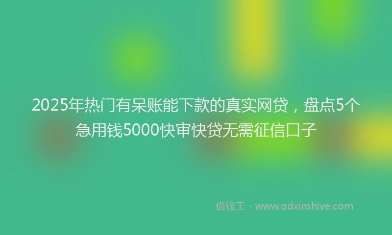 2025年热门有呆账能下款的真实网贷,盘点5个急用钱5000快审快贷无需征信口子
