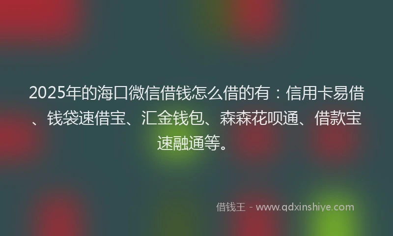 2025年的海口微信借钱怎么借的有：信用卡易借、钱袋速借宝、汇金钱包、森森花呗通、借款宝速融通等。