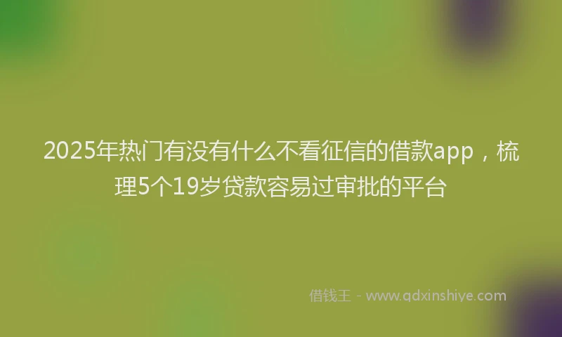2025年热门有没有什么不看征信的借款app，梳理5个19岁贷款容易过审批的平台