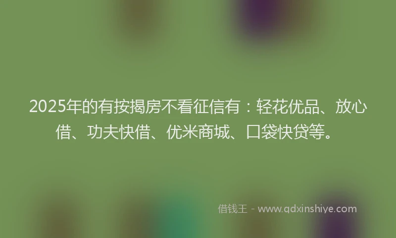 2025年的有按揭房不看征信有：轻花优品、放心借、功夫快借、优米商城、口袋快贷等。