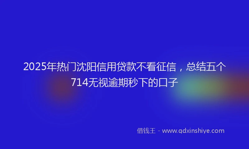 2025年热门沈阳信用贷款不看征信，总结五个714无视逾期秒下的口子