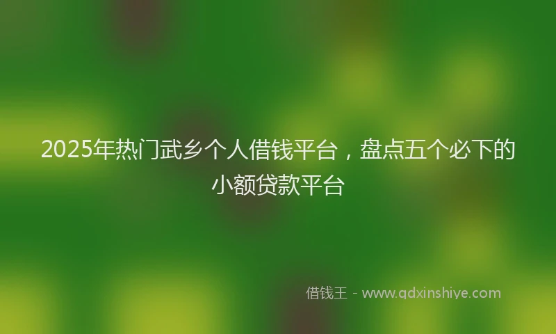 2025年热门武乡个人借钱平台，盘点五个必下的小额贷款平台
