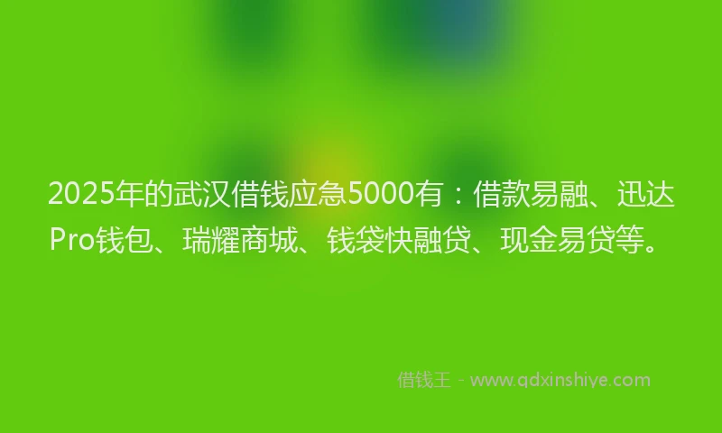 2025年的武汉借钱应急5000有：借款易融、迅达Pro钱包、瑞耀商城、钱袋快融贷、现金易贷等。