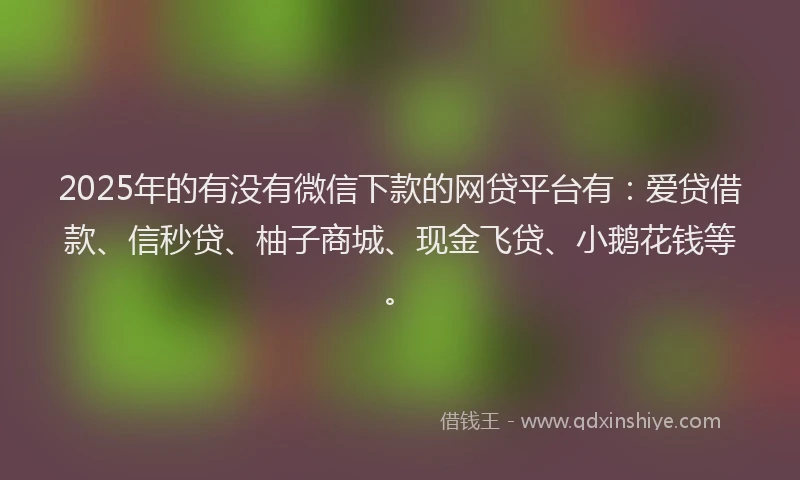 2025年的有没有微信下款的网贷平台有:爱贷借款、信秒贷、柚子商城、现金飞贷、小鹅花钱等。