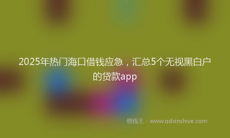 2025年热门海口借钱应急，汇总5个无视黑白户的贷款app