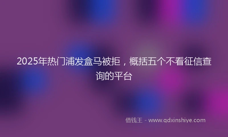 2025年热门浦发盒马被拒，概括五个不看征信查询的平台