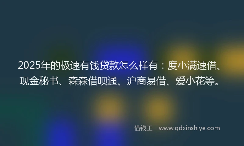 2025年的极速有钱贷款怎么样有：度小满速借、现金秘书、森森借呗通、沪商易借、爱小花等。