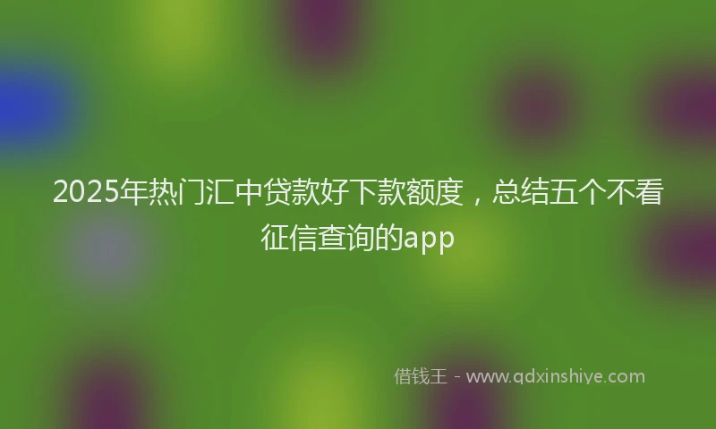 2025年热门汇中贷款好下款额度，总结五个不看征信查询的app