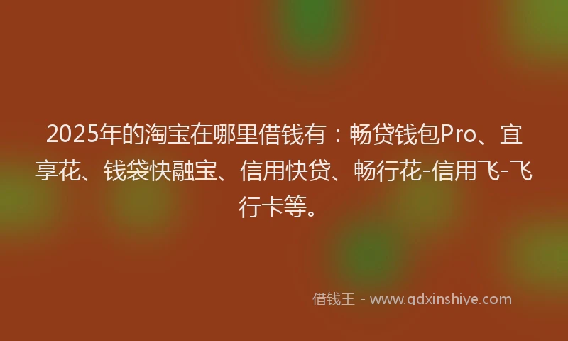 2025年的淘宝在哪里借钱有：畅贷钱包Pro、宜享花、钱袋快融宝、信用快贷、畅行花-信用飞-飞行卡等。