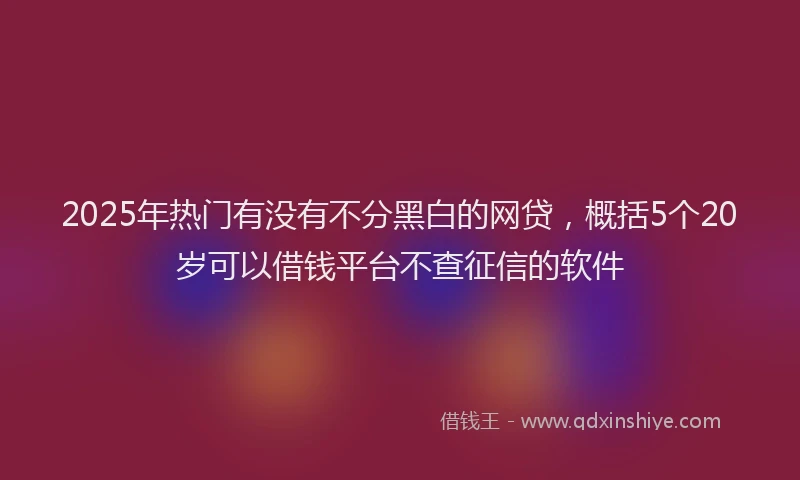 2025年热门有没有不分黑白的网贷，概括5个20岁可以借钱平台不查征信的软件
