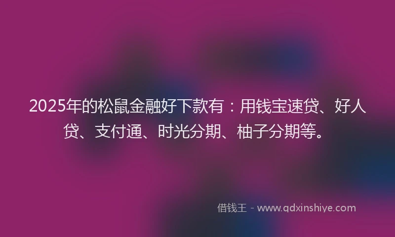 2025年的松鼠金融好下款有：用钱宝速贷、好人贷、支付通、时光分期、柚子分期等。