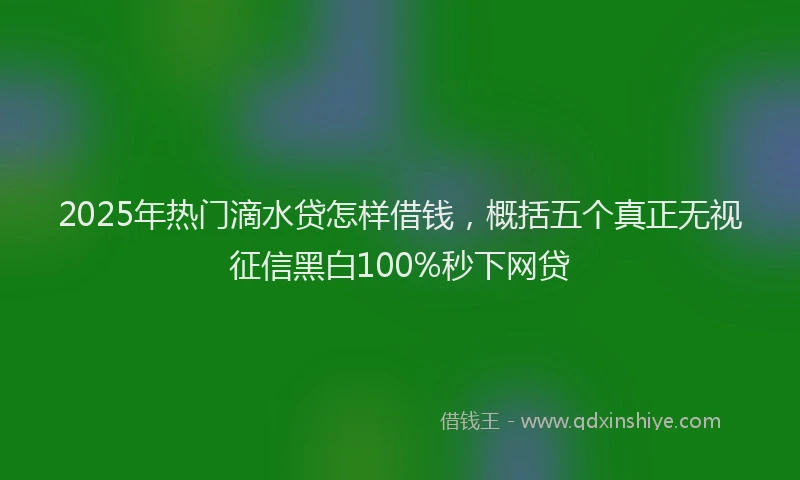 2025年热门滴水贷怎样借钱，概括五个真正无视征信黑白100%秒下网贷