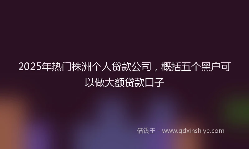 2025年热门株洲个人贷款公司，概括五个黑户可以做大额贷款口子