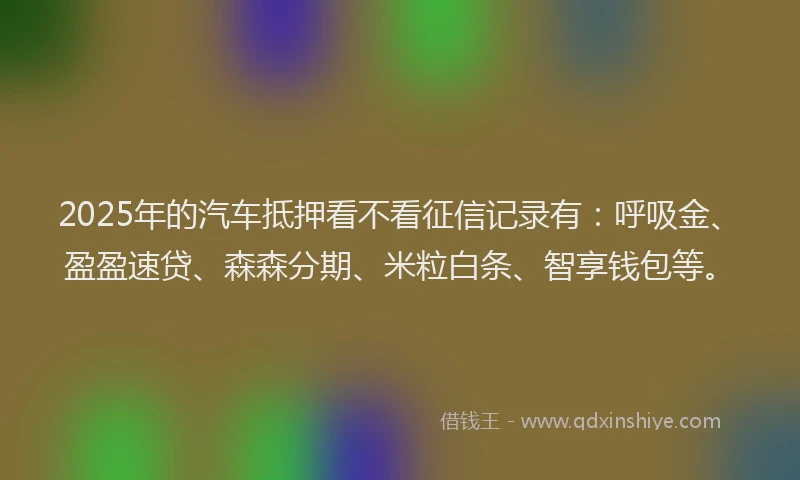 2025年的汽车抵押看不看征信记录有：呼吸金、盈盈速贷、森森分期、米粒白条、智享钱包等。