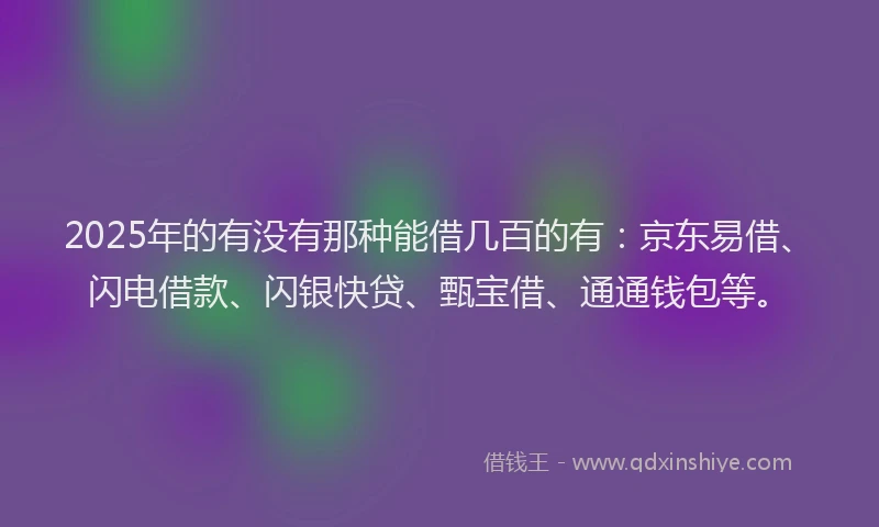 2025年的有没有那种能借几百的有：京东易借、闪电借款、闪银快贷、甄宝借、通通钱包等。