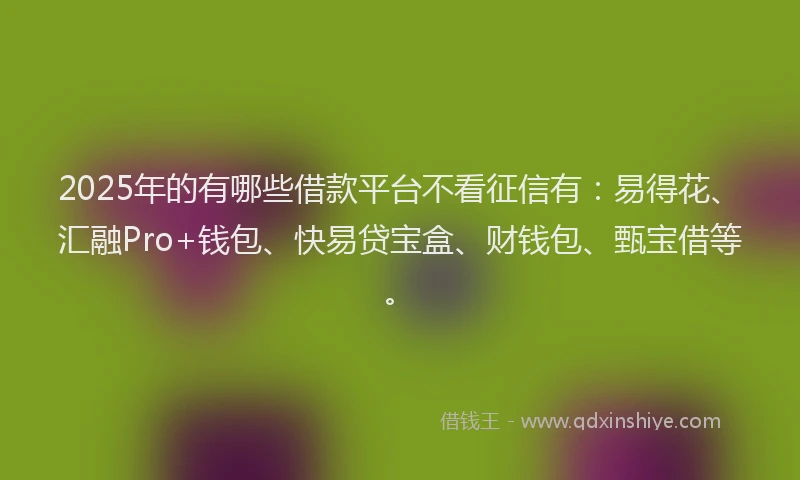 2025年的有哪些借款平台不看征信有：易得花、汇融Pro+钱包、快易贷宝盒、财钱包、甄宝借等。