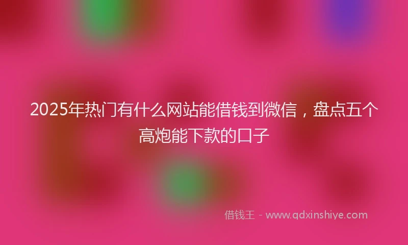 2025年热门有什么网站能借钱到微信,盘点五个高炮能下款的口子