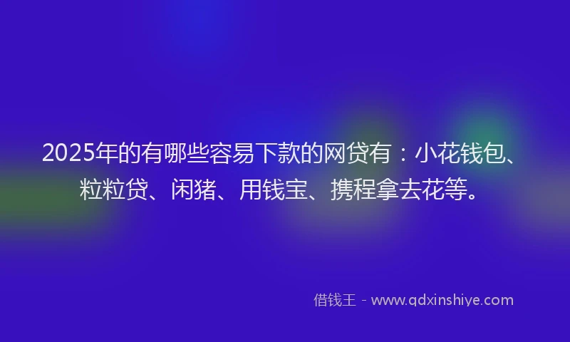 2025年的有哪些容易下款的网贷有:小花钱包、粒粒贷、闲猪、用钱宝、携程拿去花等。