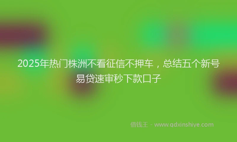 2025年热门株洲不看征信不押车，总结五个新号易贷速审秒下款口子