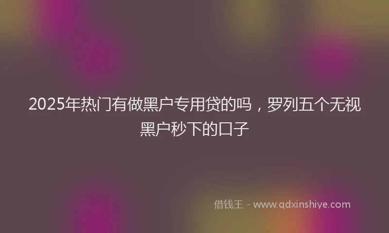 2025年热门有做黑户专用贷的吗，罗列五个无视黑户秒下的口子