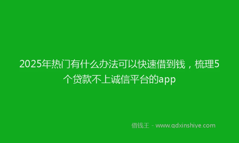 2025年热门有什么办法可以快速借到钱，梳理5个贷款不上诚信平台的app