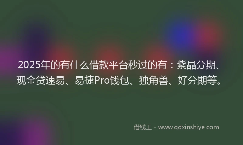 2025年的有什么借款平台秒过的有：紫晶分期、现金贷速易、易捷Pro钱包、独角兽、好分期等。