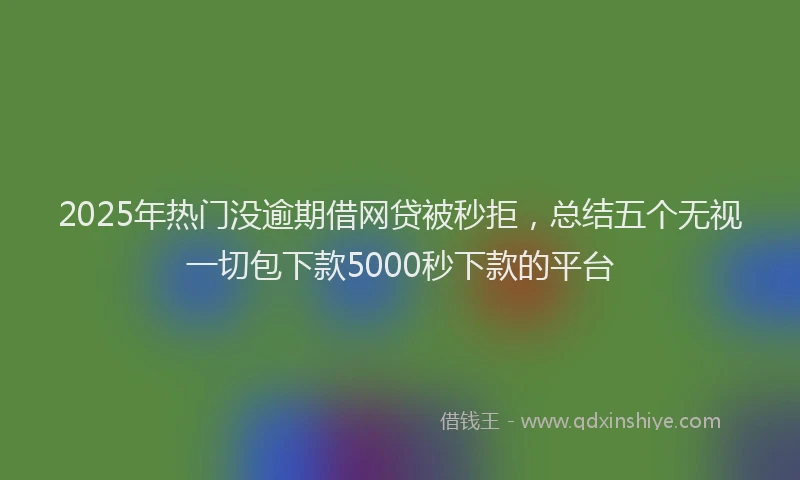 2025年热门没逾期借网贷被秒拒，总结五个无视一切包下款5000秒下款的平台
