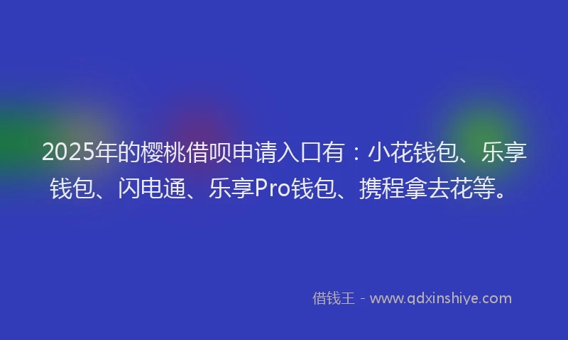 2025年的樱桃借呗申请入口有：小花钱包、乐享钱包、闪电通、乐享Pro钱包、携程拿去花等。