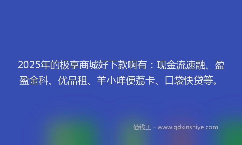 2025年的极享商城好下款啊有：现金流速融、盈盈金科、优品租、羊小咩便荔卡、口袋快贷等。