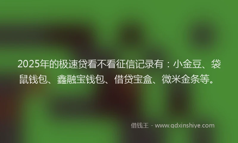 2025年的极速贷看不看征信记录有：小金豆、袋鼠钱包、鑫融宝钱包、借贷宝盒、微米金条等。