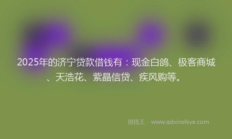 2025年的济宁贷款借钱有：现金白鸽、极客商城、天浩花、紫晶信贷、疾风购等。