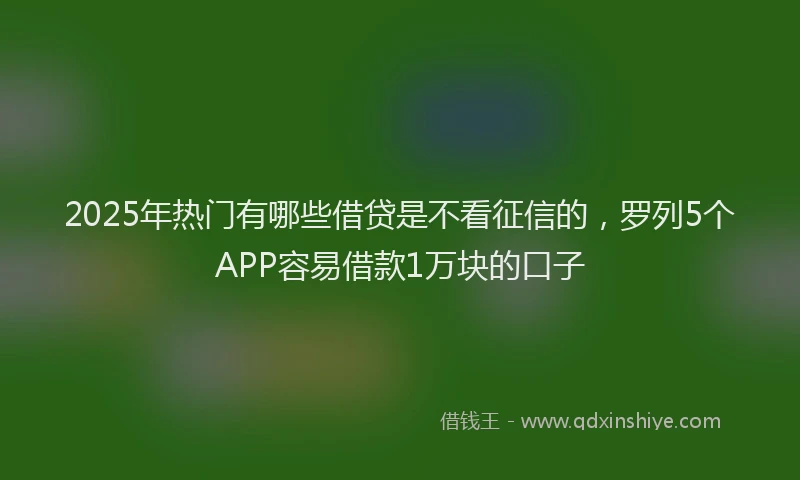 2025年热门有哪些借贷是不看征信的，罗列5个APP容易借款1万块的口子