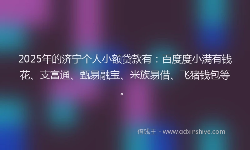 2025年的济宁个人小额贷款有：百度度小满有钱花、支富通、甄易融宝、米族易借、飞猪钱包等。
