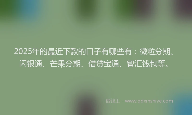 2025年的最近下款的口子有哪些有:微粒分期、闪银通、芒果分期、借贷宝通、智汇钱包等。