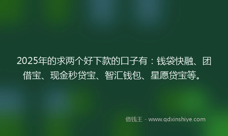 2025年的求两个好下款的口子有：钱袋快融、团借宝、现金秒贷宝、智汇钱包、星愿贷宝等。