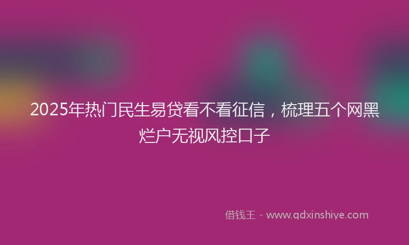 2025年热门民生易贷看不看征信，梳理五个网黑烂户无视风控口子