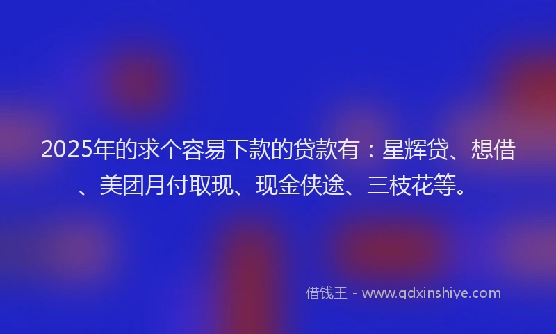 2025年的求个容易下款的贷款有：星辉贷、想借、美团月付取现、现金侠途、三枝花等。