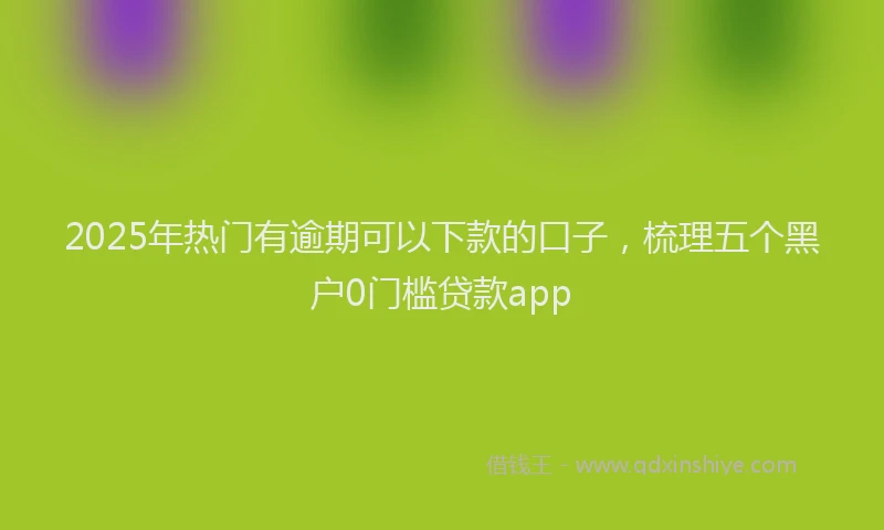 2025年热门有逾期可以下款的口子,梳理五个黑户0门槛贷款app