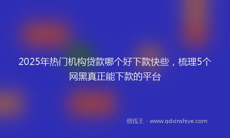 2025年热门机构贷款哪个好下款快些，梳理5个网黑真正能下款的平台