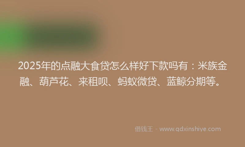 2025年的点融大食贷怎么样好下款吗有：米族金融、葫芦花、来租呗、蚂蚁微贷、蓝鲸分期等。
