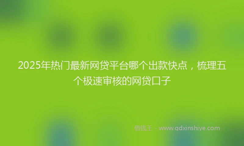 2025年热门最新网贷平台哪个出款快点，梳理五个极速审核的网贷口子