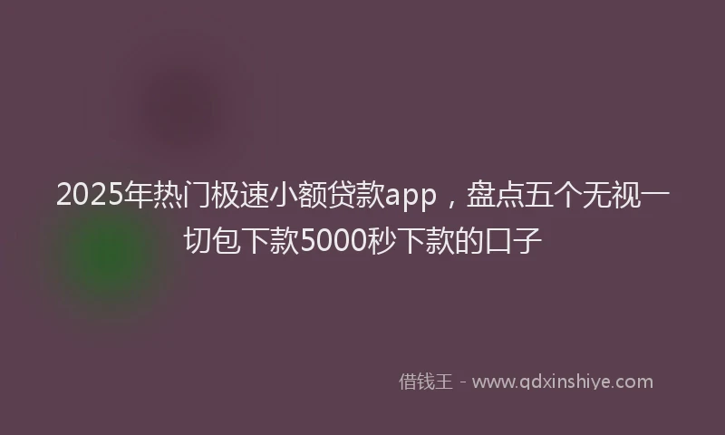 2025年热门极速小额贷款app，盘点五个无视一切包下款5000秒下款的口子