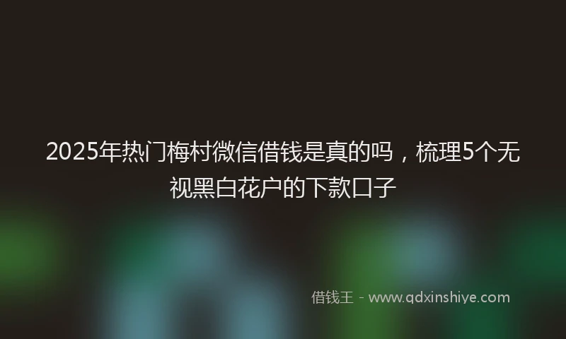 2025年热门梅村微信借钱是真的吗，梳理5个无视黑白花户的下款口子