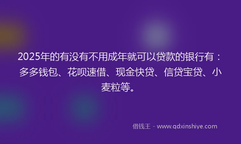2025年的有没有不用成年就可以贷款的银行有：多多钱包、花呗速借、现金快贷、信贷宝贷、小麦粒等。