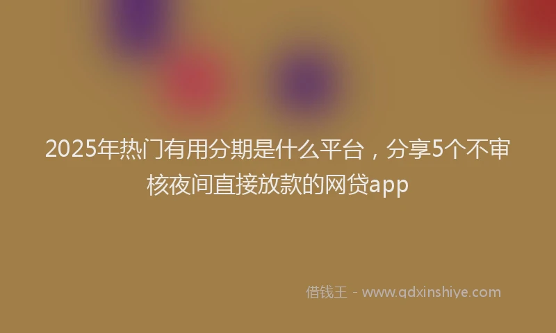 2025年热门有用分期是什么平台，分享5个不审核夜间直接放款的网贷app
