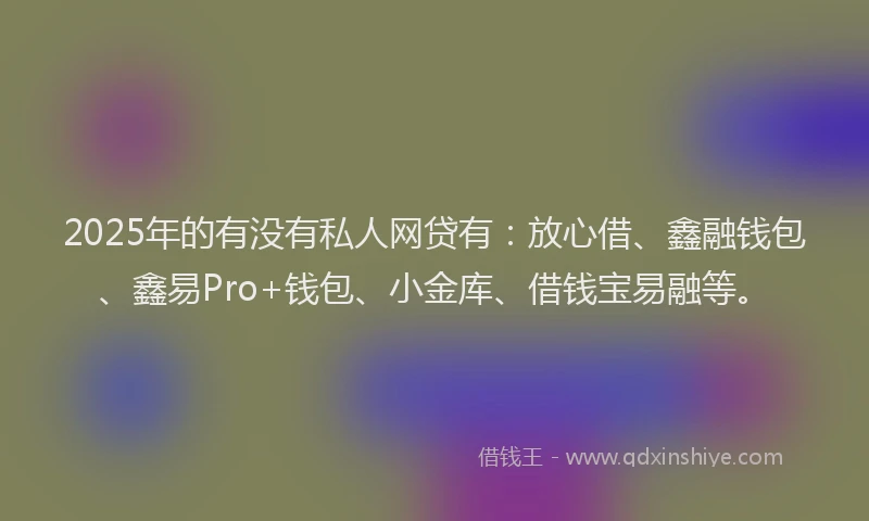 2025年的有没有私人网贷有：放心借、鑫融钱包、鑫易Pro+钱包、小金库、借钱宝易融等。