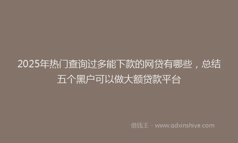 2025年热门查询过多能下款的网贷有哪些，总结五个黑户可以做大额贷款平台