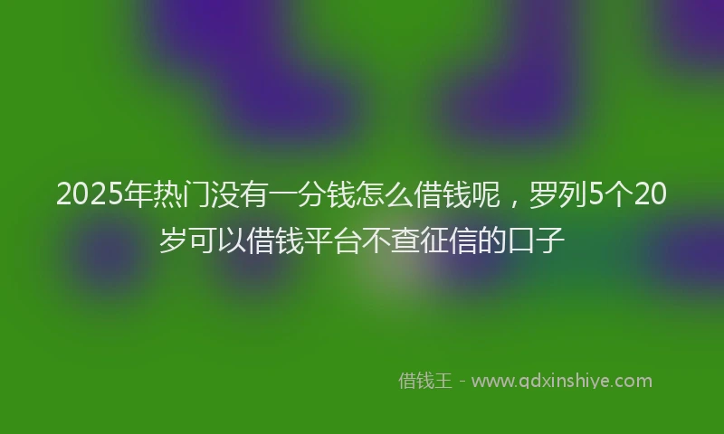 2025年热门没有一分钱怎么借钱呢，罗列5个20岁可以借钱平台不查征信的口子
