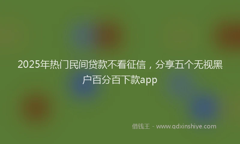 2025年热门民间贷款不看征信，分享五个无视黑户百分百下款app