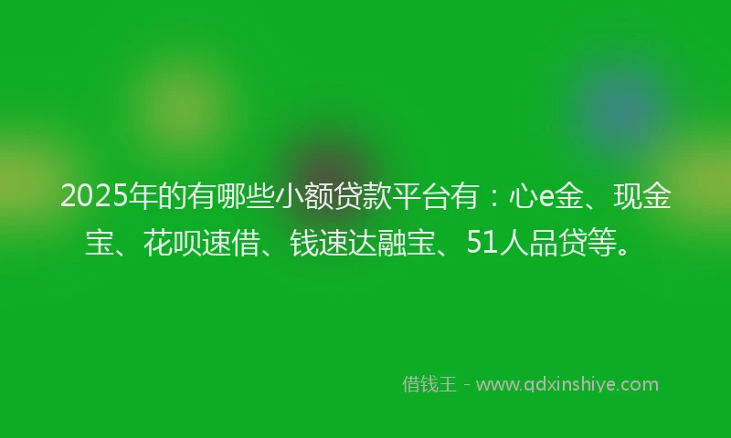 2025年的有哪些小额贷款平台有：心e金、现金宝、花呗速借、钱速达融宝、51人品贷等。